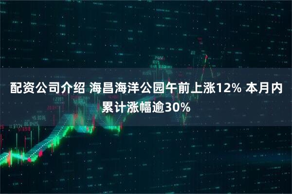 配资公司介绍 海昌海洋公园午前上涨12% 本月内累计涨幅逾30%